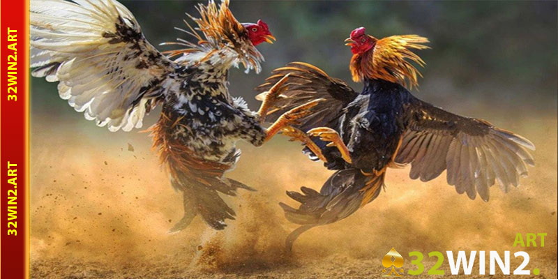 Các Loại Cược Trong Đá Gà 32win2