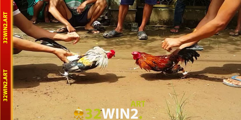 Lý Do Nên Chơi Đá Gà Tại 32win2