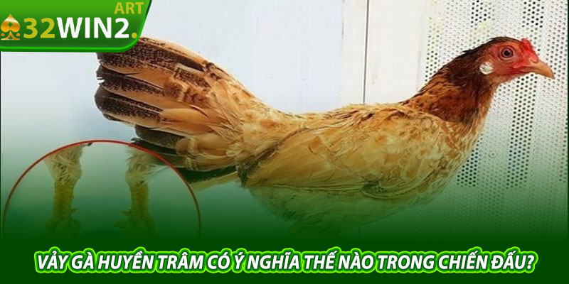 Vảy Gà Huyền Trâm Có Ý Nghĩa Thế Nào Trong Chiến Đấu?