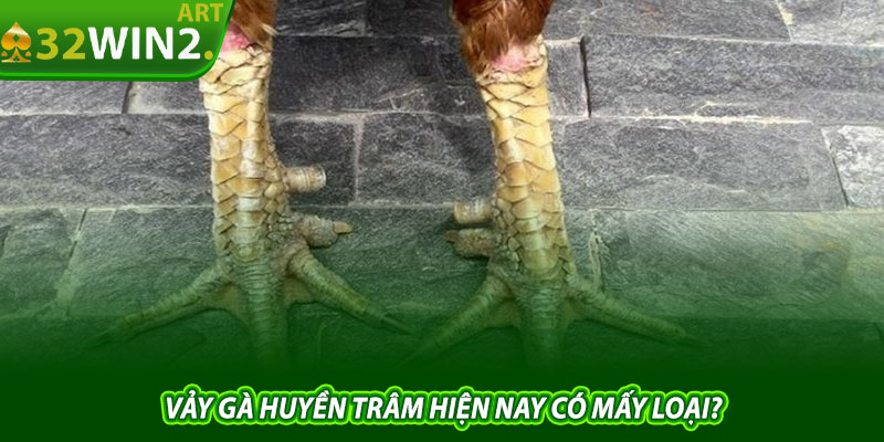 Vảy Gà Huyền Trâm Hiện Nay Có Mấy Loại?